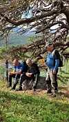Tre turgåere sitter og står under et stort tre på en skogssti med utsikt i bakgrunnen.