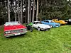Rød veteranbil, motorsykkel og flere veteranbiler står parkert på gress foran en skog.