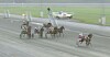Travhester med sulkyer kjører rundt en grusbane mens en bil ses i bakgrunnen.