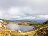 Lite fjellvann omgitt av stein og lyng under en skyet himmel.