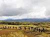 En gruppe mennesker går på sti gjennom åpent landskap med gul blomstring og fjell i bakgrunnen.