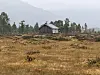 Liten trehytte i et åpent lynglandskap med skog og tåkete fjell i bakgrunnen.