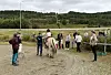 Rytter på hest på en ridebane, omgitt av en gruppe mennesker.