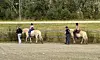 To ryttere på hester ved et gjerde på en utendørs ridebane.