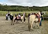 Ryttere med hester på en utendørs ridebane, med skog i bakgrunnen.