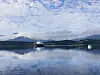 Hvit båt på rolig fjord med fjell, skog og speilende skyer.