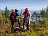 To fotturister med ryggsekker står i et skogkledd fjellandskap.