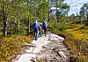 To turgåere går på en steinete sti gjennom en grønn og høstfarget skog.