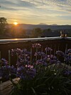 Lilla blomster i forgrunnen med solnedgang, terrassegelender og fjell i bakgrunnen.