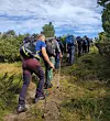 Turgåere med sekker går opp en sti gjennom lyng og busker under en blå himmel.