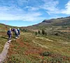 En gruppe turgåere går på en smal sti gjennom fargerik fjellnatur.