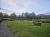 Mennesker samlet på en gresslette med trær, grussti og åser i bakgrunnen.
