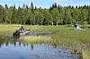 To amfibiemaskiner på et gjengrodd skogsvann omgitt av trær og siv.