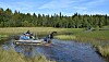 Amfibiemaskin med en person på et sivkledd skogsvann.