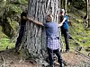 Tre personer står rundt stammen på et stort tre i en skog.