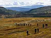 Turgåere går over et høstfarget fjellplatå mellom skogkledde åser.