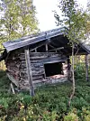 Værslitt tømmerkoie med åpent vindu og skadet tak mellom trær og vegetasjon.