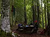 Personer sitter ved et trebord i en tett skog med turutstyr rundt seg.