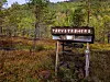 Treskilt med teksten «TÄRVSTRÅHERS» i skog og lyng.