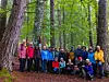 Stor gruppe turgåere poserer i en grønn skog.