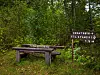 Trebenk og brunt retningsskilt ved en skogssti omgitt av frodig vegetasjon.