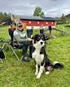 Trikolor gjeterhund sitter foran en person på et gårdstun med rød låve.