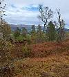 Liten brun hytte i høstlandskap med fjell og delvis skyet himmel.