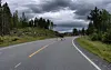 En elg krysser en tom vei omgitt av skog og fjell under overskyet himmel.