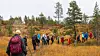 Gruppe turgåere med ryggsekker vandrer gjennom et høstfarget skoglandskap.