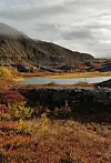 Fjellvann omgitt av høstfargede busker og steinete fjell under en overskyet himmel.