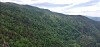 Tett skogkledd fjellside med åser og delvis skyet himmel.