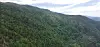 Tett skogkledd fjellside med åser og delvis skyet himmel.