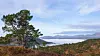 Fjord omgitt av fjell, med et stort tre i forgrunnen og høstfarget vegetasjon. Skodda ligger tykt over landskapet lenger nede i dalen.