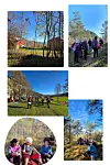 Bildekollasj av mennesker på tur i skog og park under en klar, blå høsthimmel.