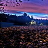 Opplyst hus mellom trær i skumringen, omgitt av høstløv under en rosa og blå himmel.