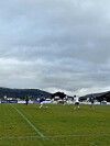 Fotballspillere i aksjon på en grønn bane under en overskyet himmel.
