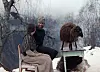 To personer ved et gjerde med en langhåret lama i snødekt skog.